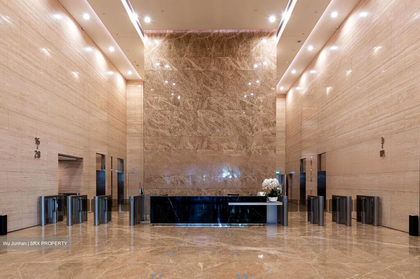 PLUS (D1), Office #567991661